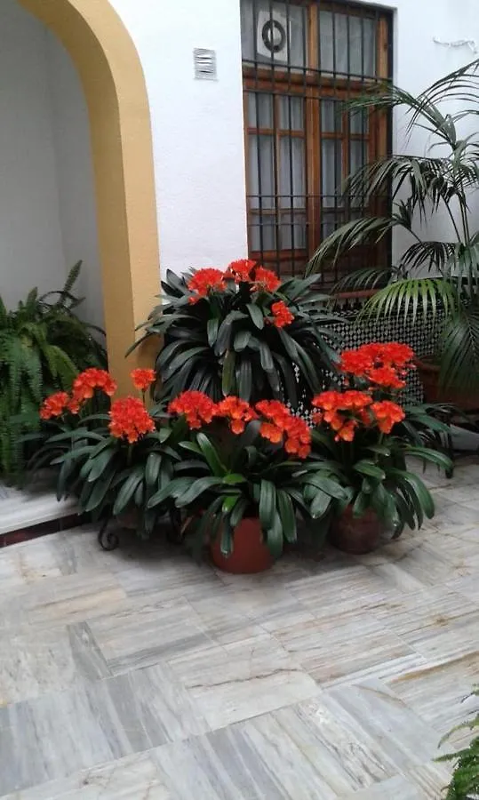 Apartamento Córdoba centro esencia cordobesa. Mezquita España